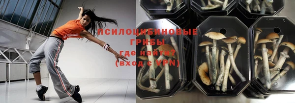 ГАЛЛЮЦИНОГЕННЫЕ ГРИБЫ Абинск