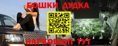 a pvp Обь