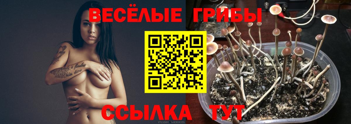 Новочебоксарск  Псилоцибиновые грибы Psilocybe  Галлюциногенные грибы мухоморы  Вход с VPN 